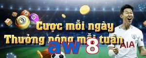 aw8